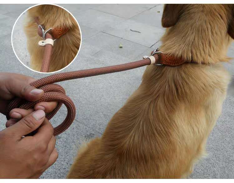 KFX-9170109 Nylon P Chain 2.1M Dog Leash with Hand Holding Rope in Brown