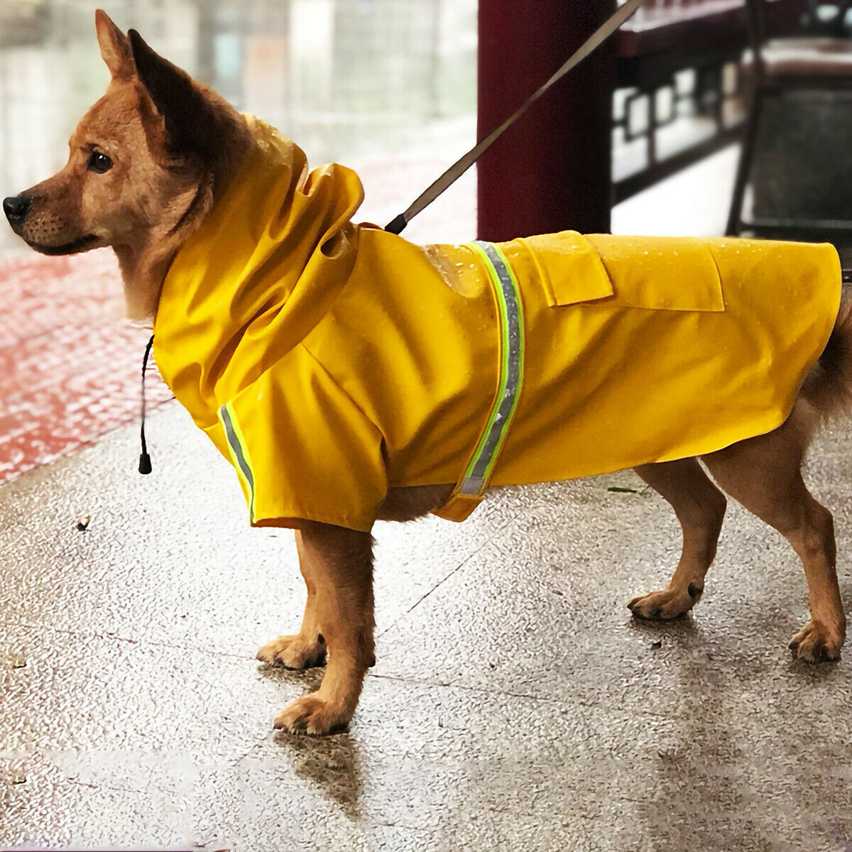 KFX-9171773 Waterproof Dog Raincoat with Reflective Stripe and Hood for Small to Large Breeds
