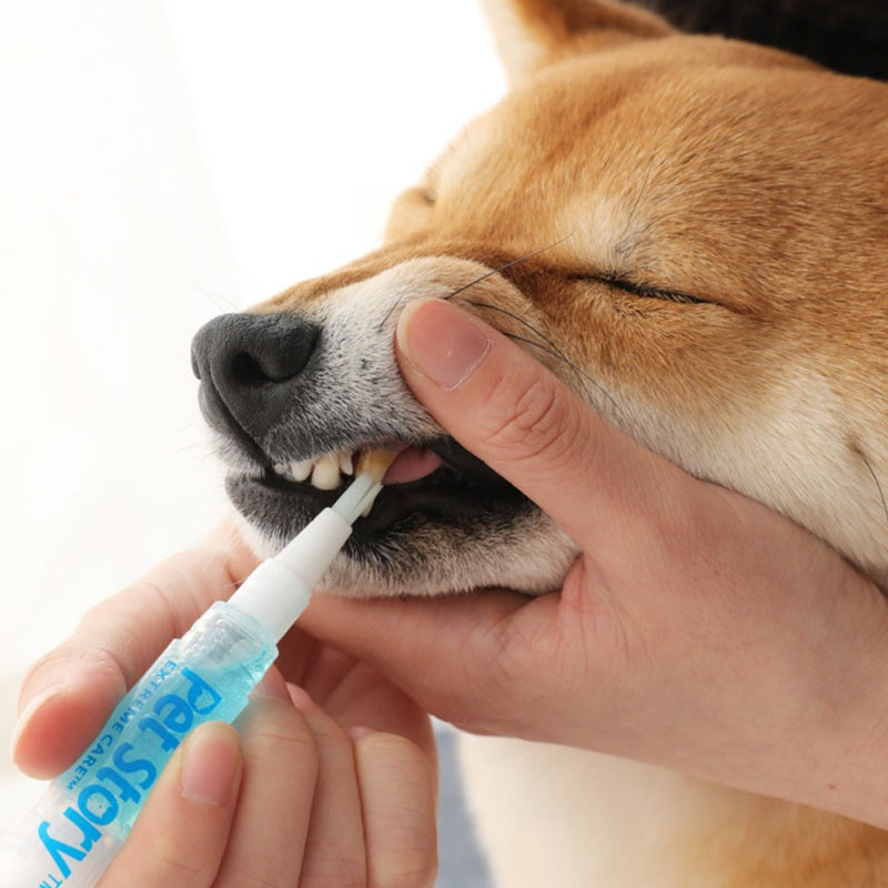 KFX-9177917 Pet Dental Care Kit - Teeth Whitening Pen Set for Dogs and Cats with Soft Brush and Toothbrush, Anti-inflammatory Formula