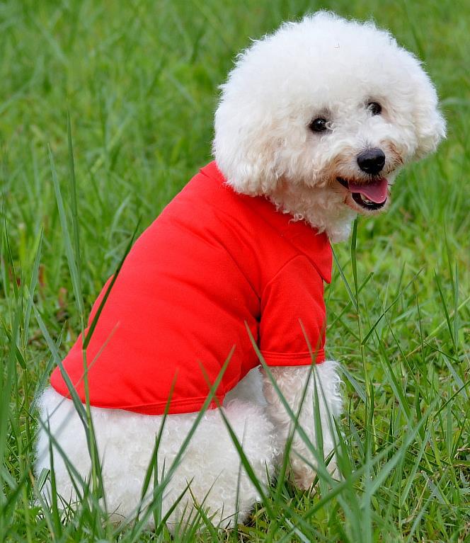 KFX-9205437 Lightweight Breathable Dog Vest - Adjustable Fit for Small to Extra Large Dogs