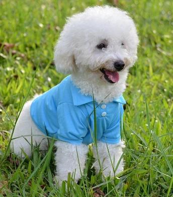 KFX-9205437 Lightweight Breathable Dog Vest - Adjustable Fit for Small to Extra Large Dogs