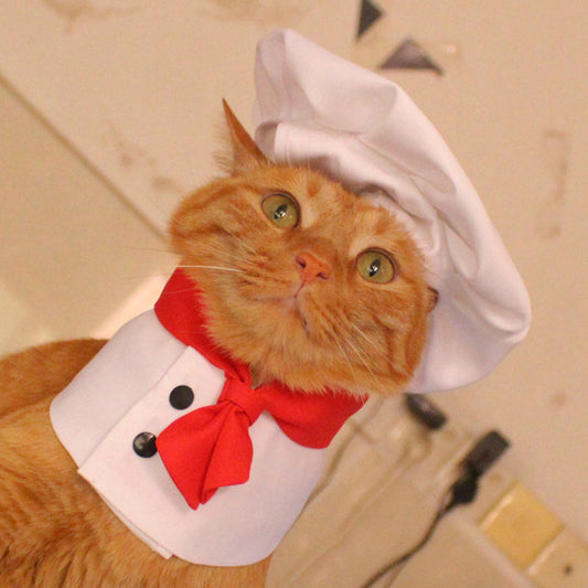 KFX-9207869 Pet Outfit with Hat and Scarf - Available in White, Sizes S to L
