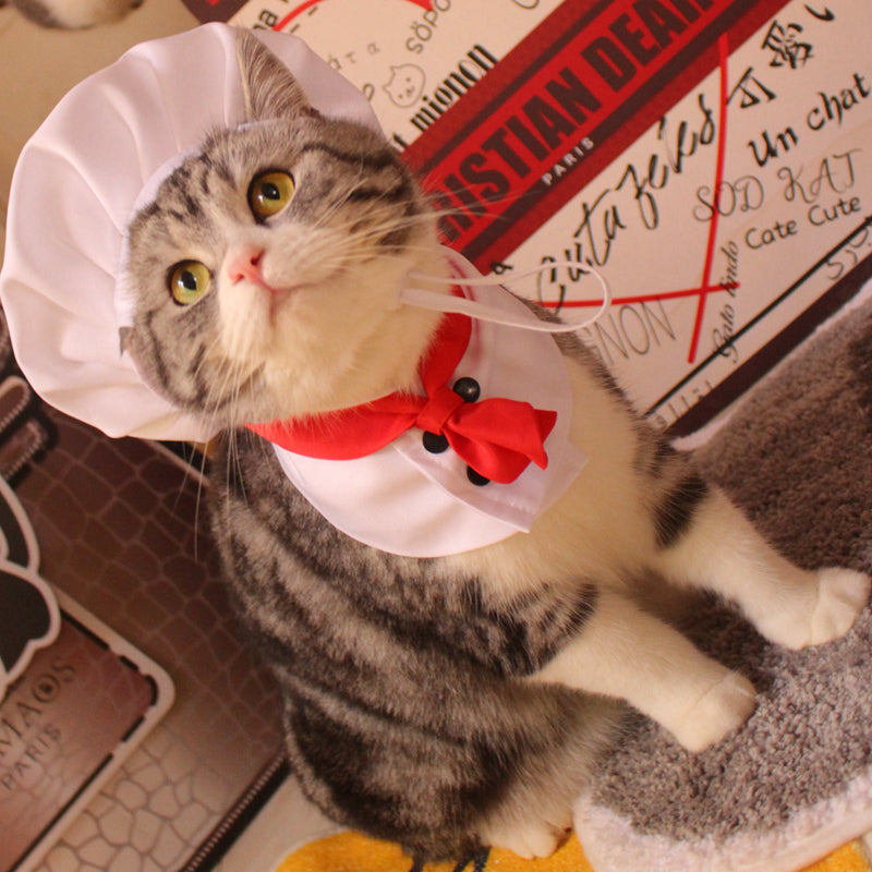 KFX-9207869 Pet Outfit with Hat and Scarf - Available in White, Sizes S to L
