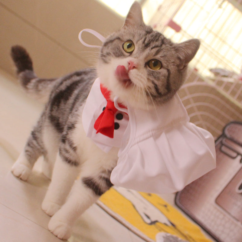 KFX-9207869 Pet Outfit with Hat and Scarf - Available in White, Sizes S to L