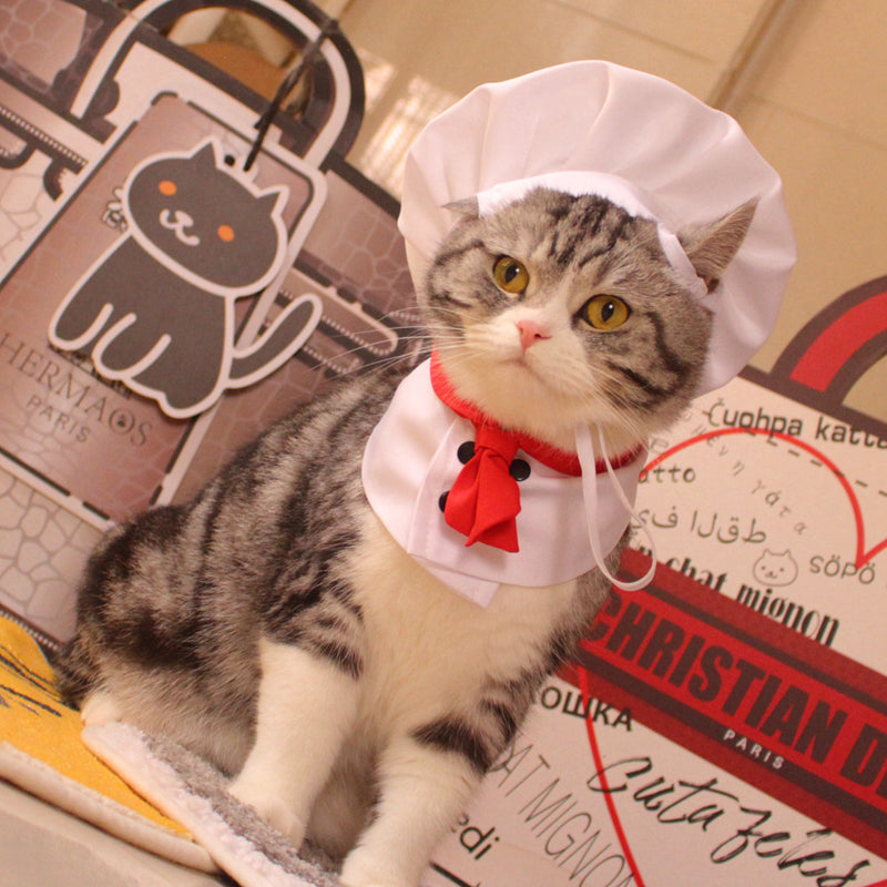 KFX-9207869 Pet Outfit with Hat and Scarf - Available in White, Sizes S to L