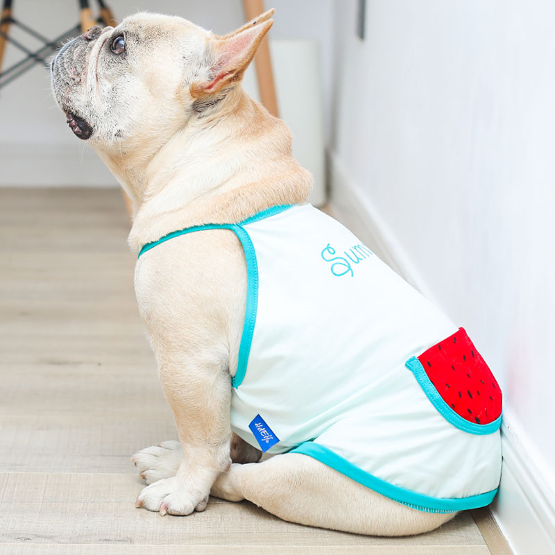 KFX-9209405 Light Blue Cartoon Cotton Vest for Pets – Breathable Clothing for Cats and Dogs