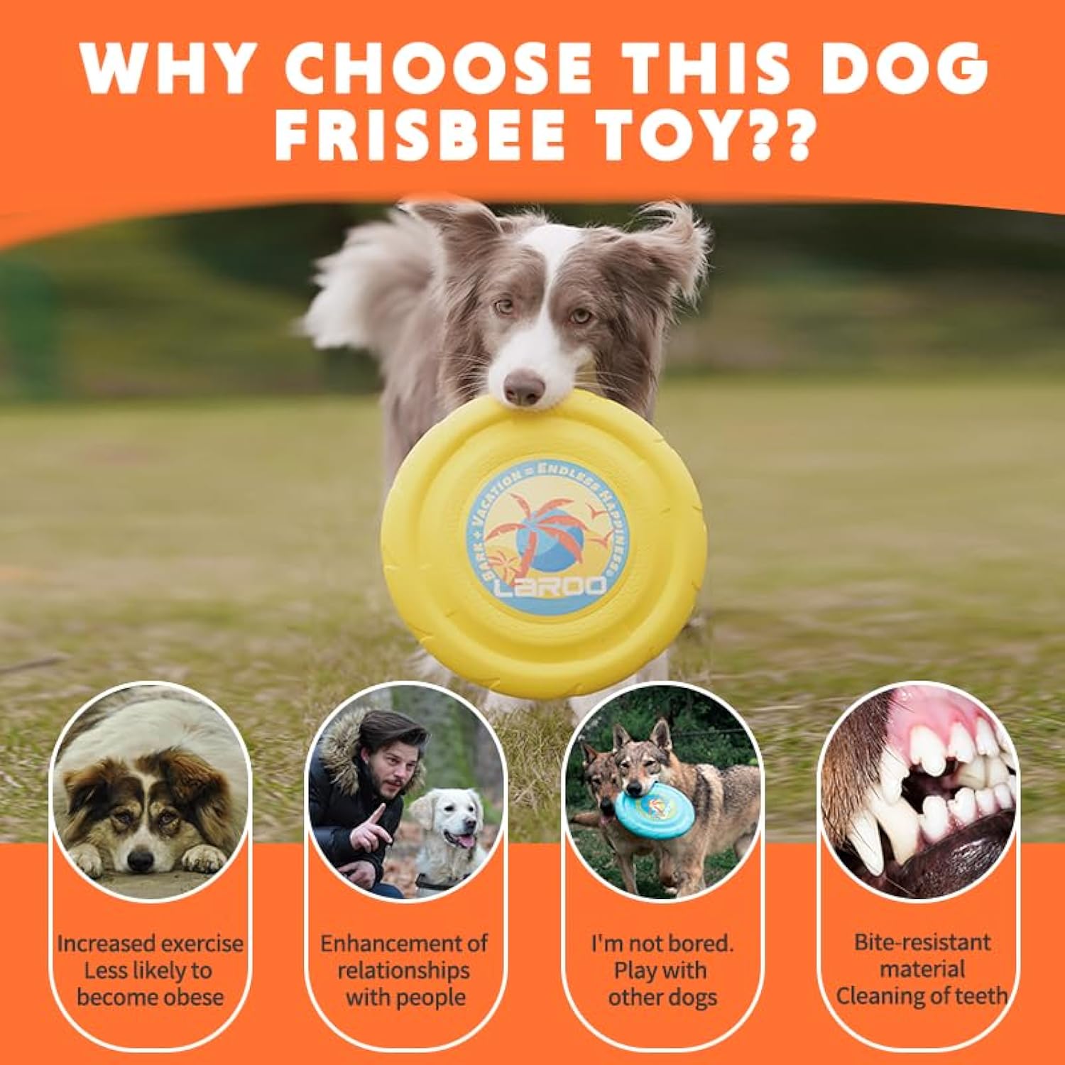 KFX-9216061 Durable Flying Disc for Medium and Large Dogs - Ideal for Outdoor Playtime and Summer Activities