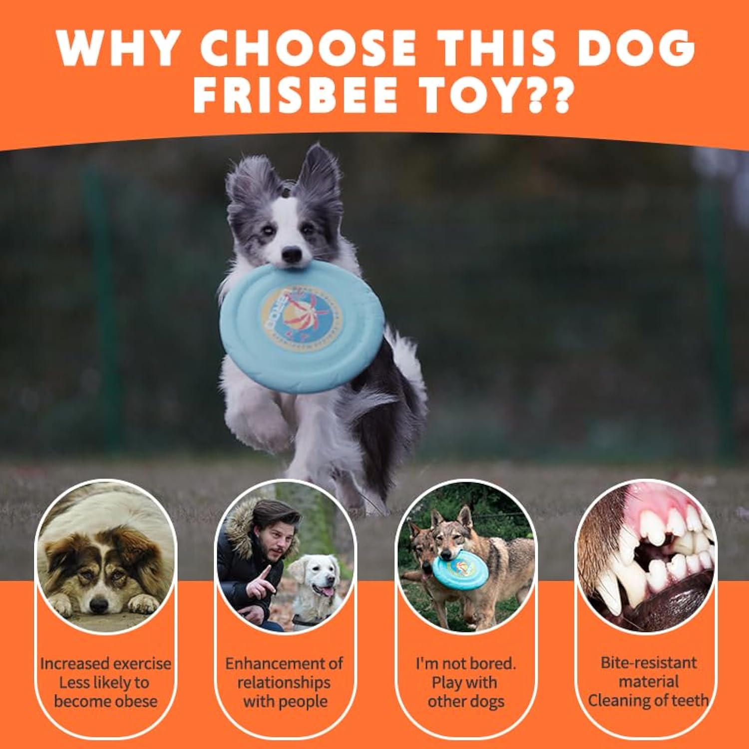 KFX-9216061 Durable Flying Disc for Medium and Large Dogs - Ideal for Outdoor Playtime and Summer Activities