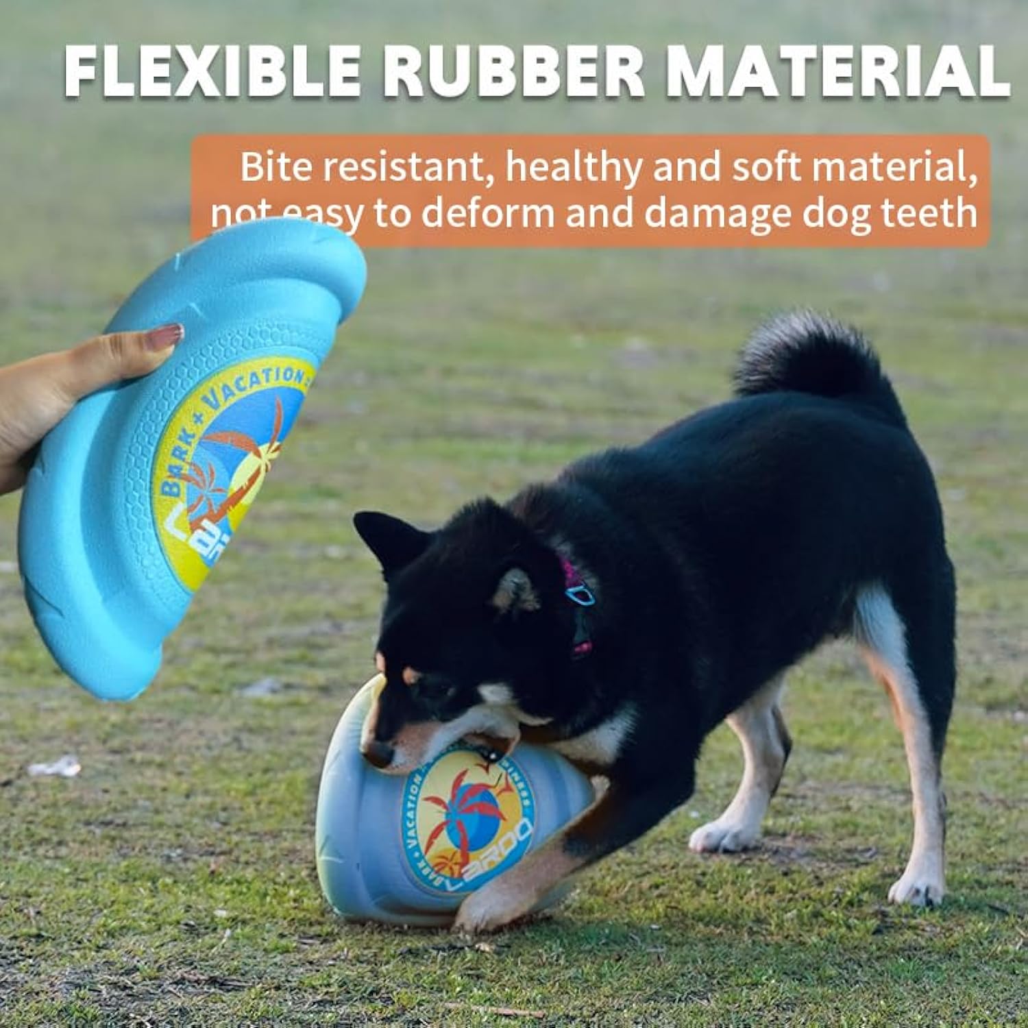 KFX-9216061 Durable Flying Disc for Medium and Large Dogs - Ideal for Outdoor Playtime and Summer Activities