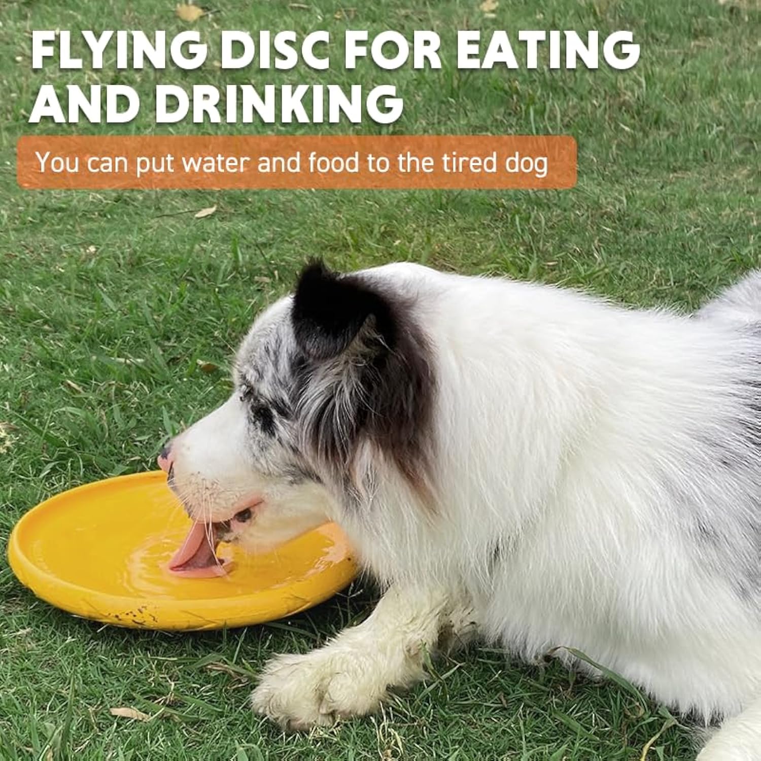 KFX-9216061 Durable Flying Disc for Medium and Large Dogs - Ideal for Outdoor Playtime and Summer Activities