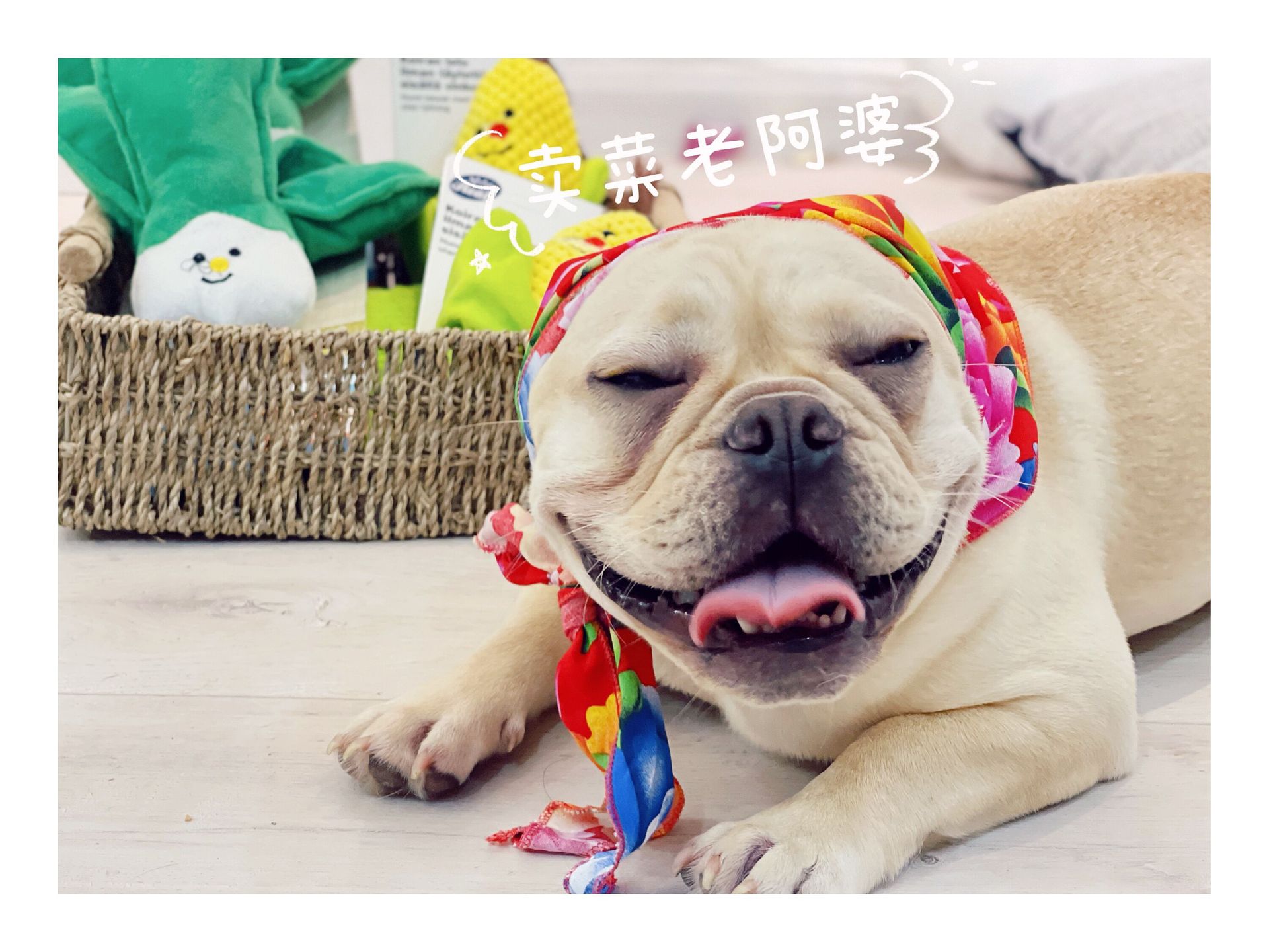 KFX-9221949 Country Style Triangular Scarf for Dogs and Cats - Cotton Silk Pet Headscarf for All Seasons