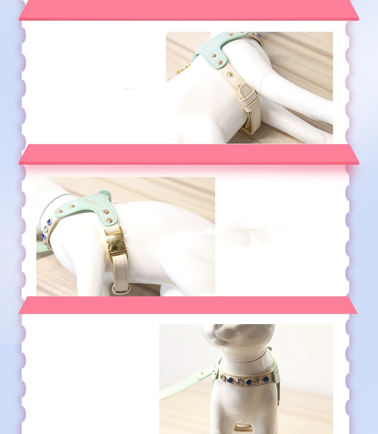 KFX-9223613 Diamond Pattern PU Leather Pet Vest Suit for Dogs and Cats - Pink & Green, XS and S Sizes Available