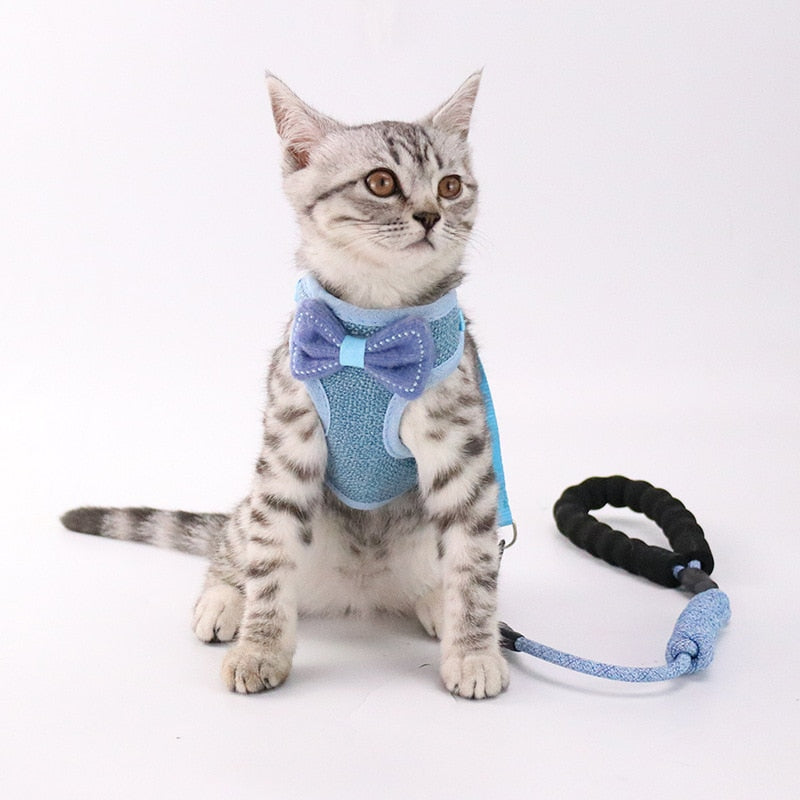 KFX-9224125 Stylish Bowknot Vest Harness and Leash Set for Cats and Dogs