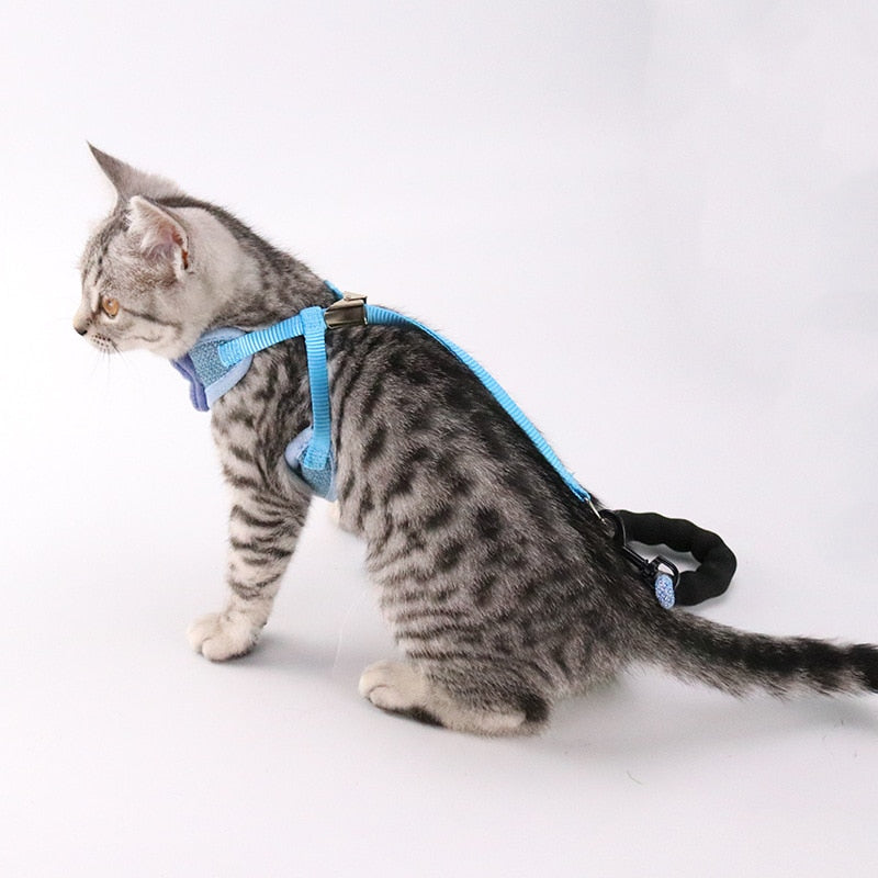 KFX-9224125 Stylish Bowknot Vest Harness and Leash Set for Cats and Dogs