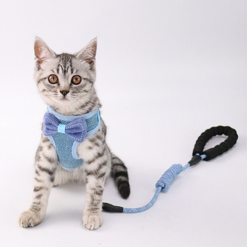KFX-9224125 Stylish Bowknot Vest Harness and Leash Set for Cats and Dogs