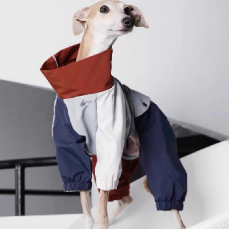 KFX-9234621 Outdoor Four-Legged Anti-Dirty Shell Jacket for Medium-Sized Dogs
