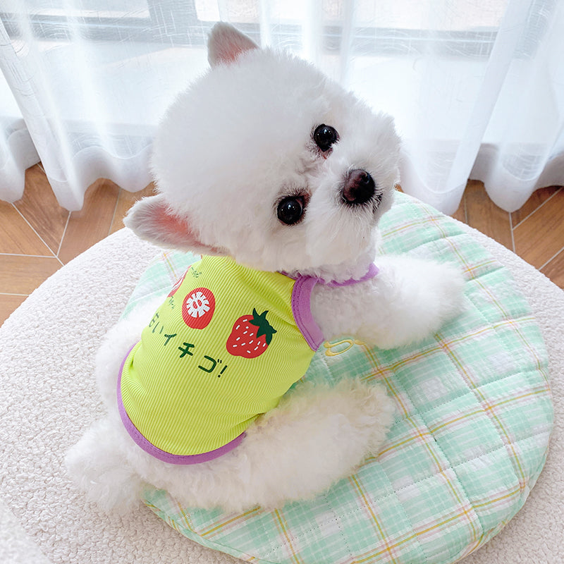 KFX-9238205 Summer Stretch Camisole for Dogs and Cats - Cotton Pet Clothing in Powder Blue and Purple Yellow
