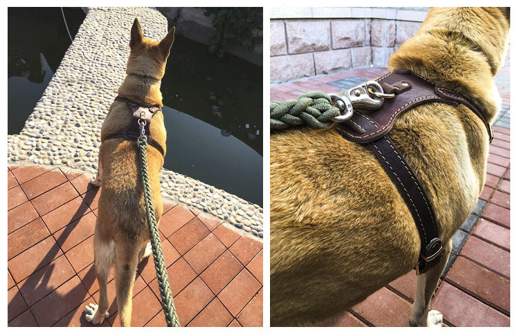 KFX-9243581 Thickened Cowhide Double Layer Chest and Back Harness for Medium to Large Dogs