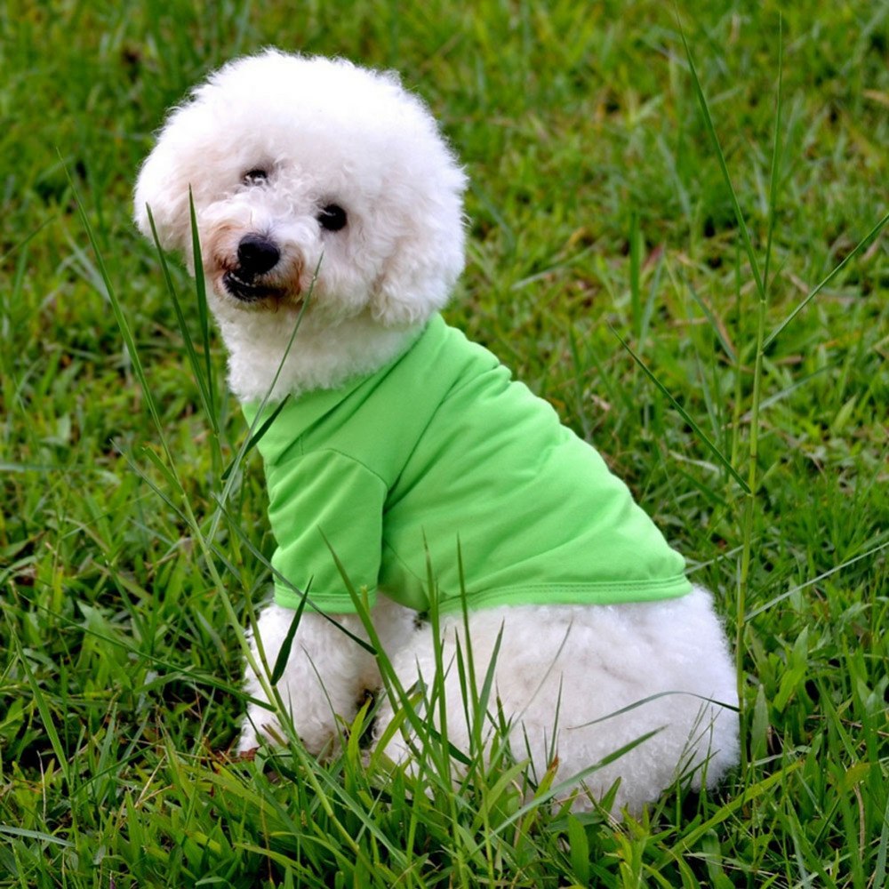 KFX-9245757 Solid Color Dog Polo Shirt with Lapel - Cozy Cotton T-Shirt for Pets