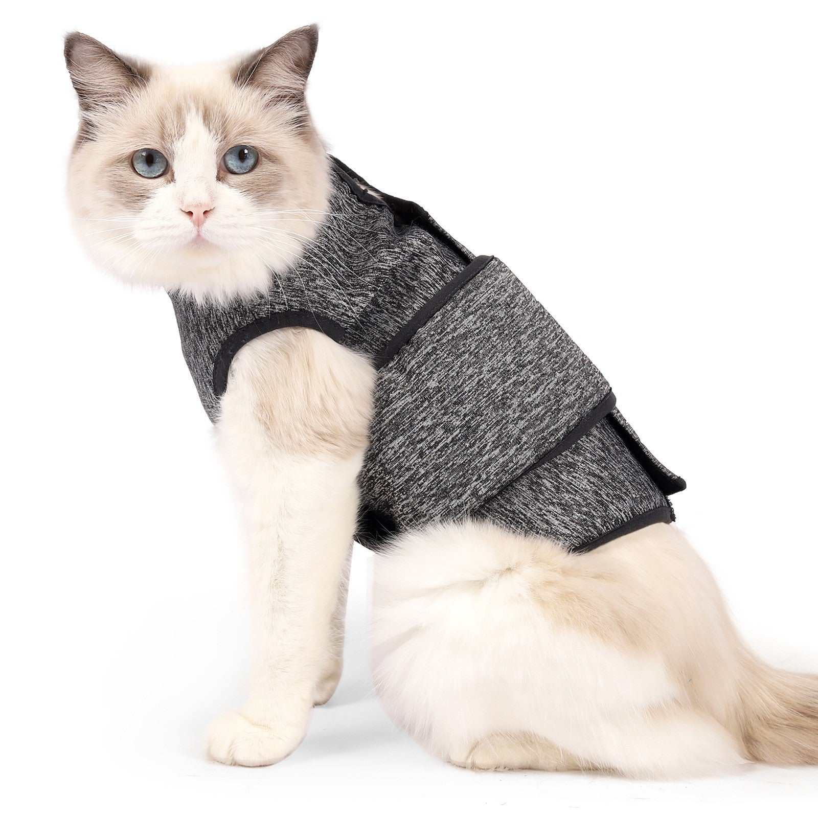 KFX-9247933 Double Layer Dark Gray Pet Sterilization Suit for Cats - Spring Collection
