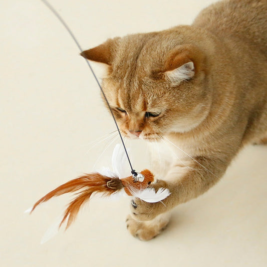 KFX-9257917 Replacement Plush Feather Heads for Cat Teaser Toys – Multiple Colors Available