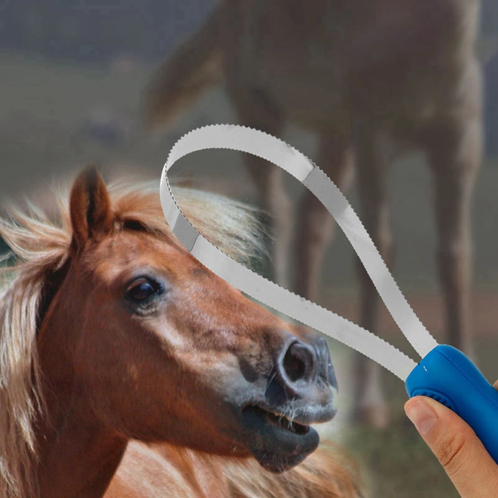 KFX-9258685 Equestrian Dual-Sided Grooming Comb for Horses, Dogs, and Cats - Expandable Non-Slip Curry Brush