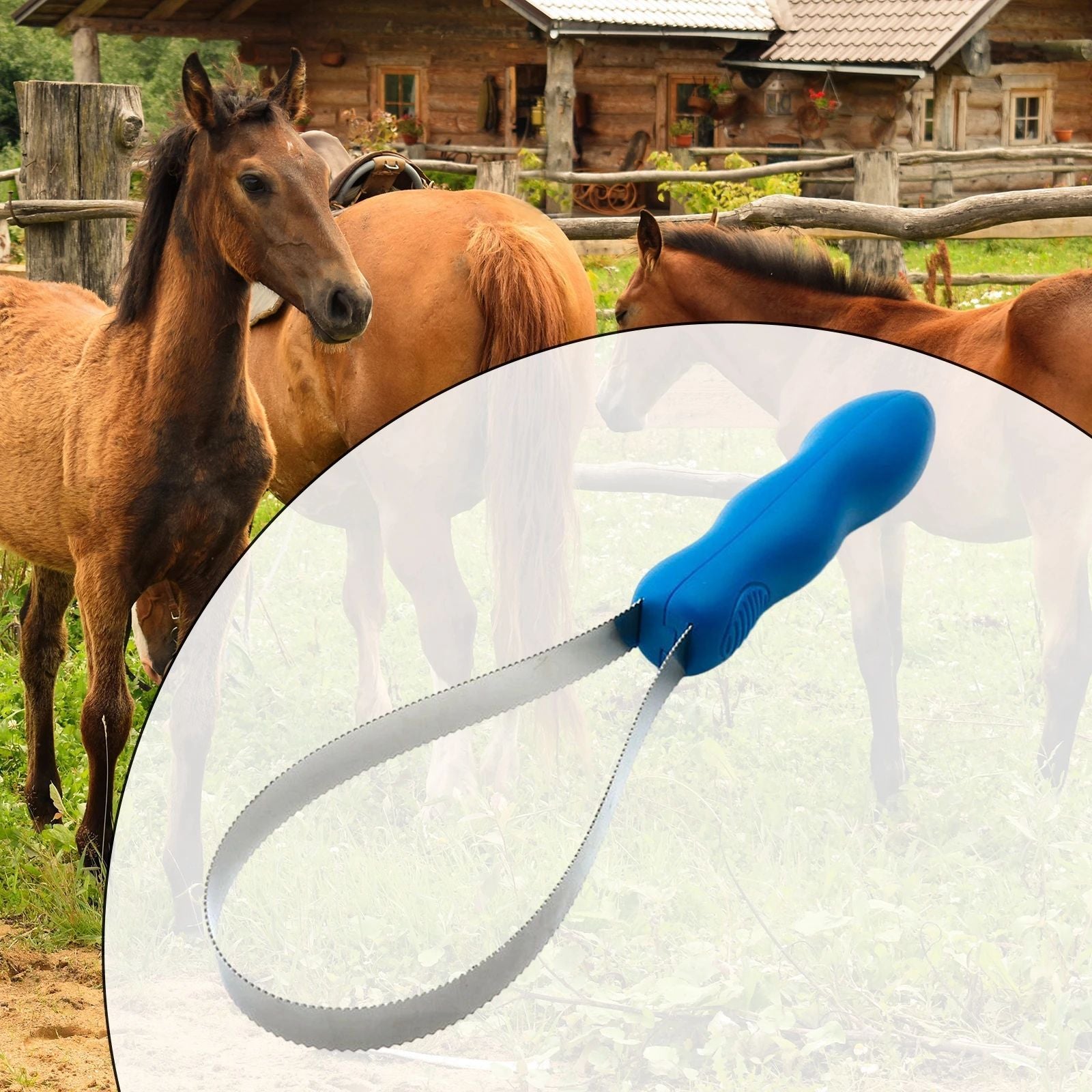 KFX-9258685 Equestrian Dual-Sided Grooming Comb for Horses, Dogs, and Cats - Expandable Non-Slip Curry Brush