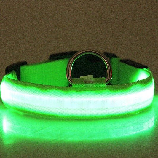 KFX-9259069 Rechargeable LED Luminous Dog Collar in Various Colors and Sizes