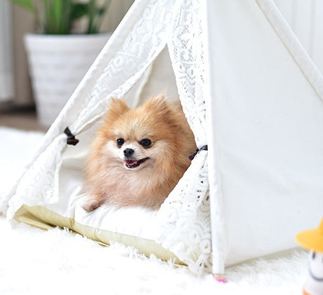 KFX-9267645 Spotted Tent Cat Kennel - Soft Cloth Pet Nest for Cats in Various Sizes
