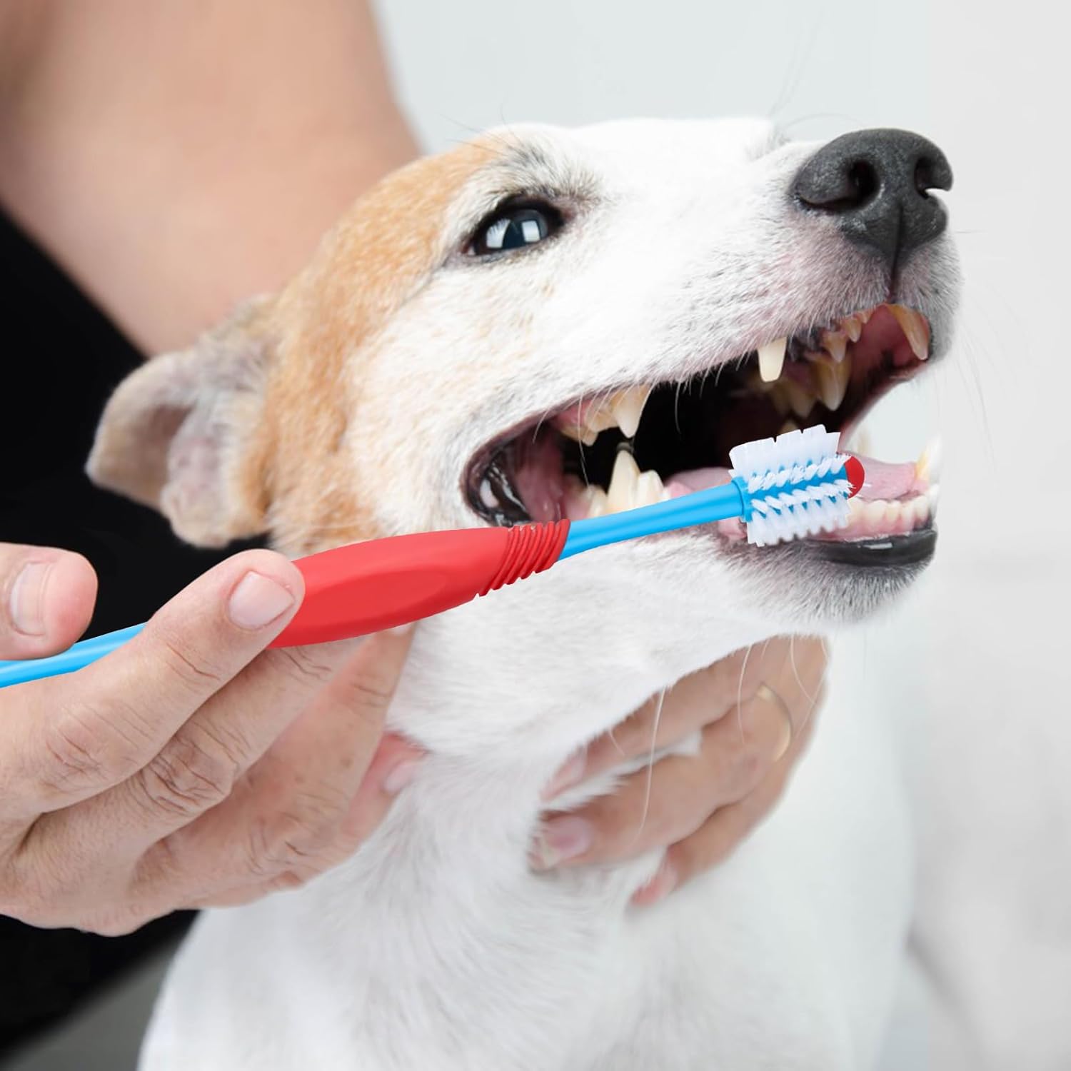 KFX-9275837 360-Degree Dual-Head Dog and Cat Toothbrush with Non-Slip Handle for Effective Dental Care