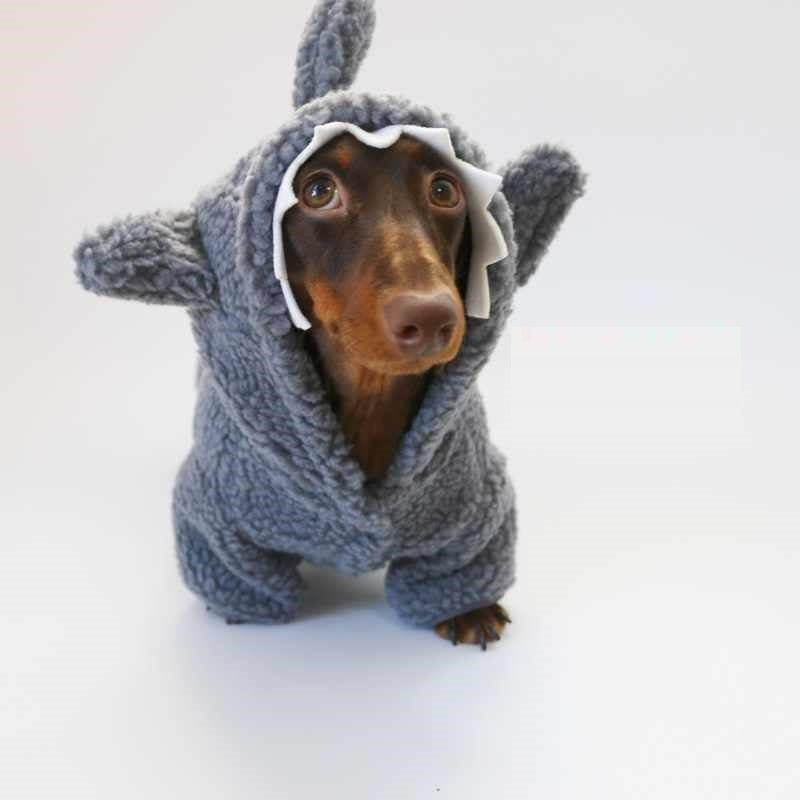 KFX-9306941 Fleece-Lined Gray Shark Hooded Sweater for Dogs and Cats - Warm and Trendy Pet Clothes