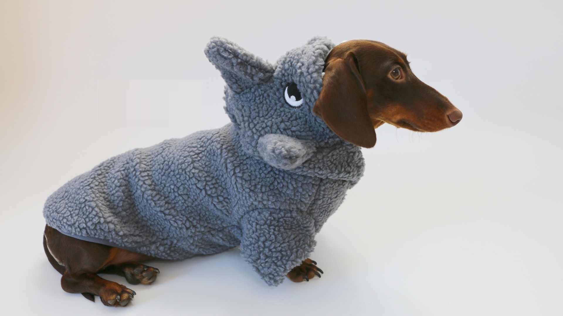 KFX-9306941 Fleece-Lined Gray Shark Hooded Sweater for Dogs and Cats - Warm and Trendy Pet Clothes