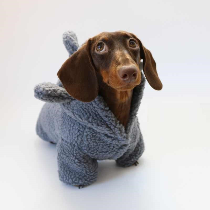 KFX-9306941 Fleece-Lined Gray Shark Hooded Sweater for Dogs and Cats - Warm and Trendy Pet Clothes