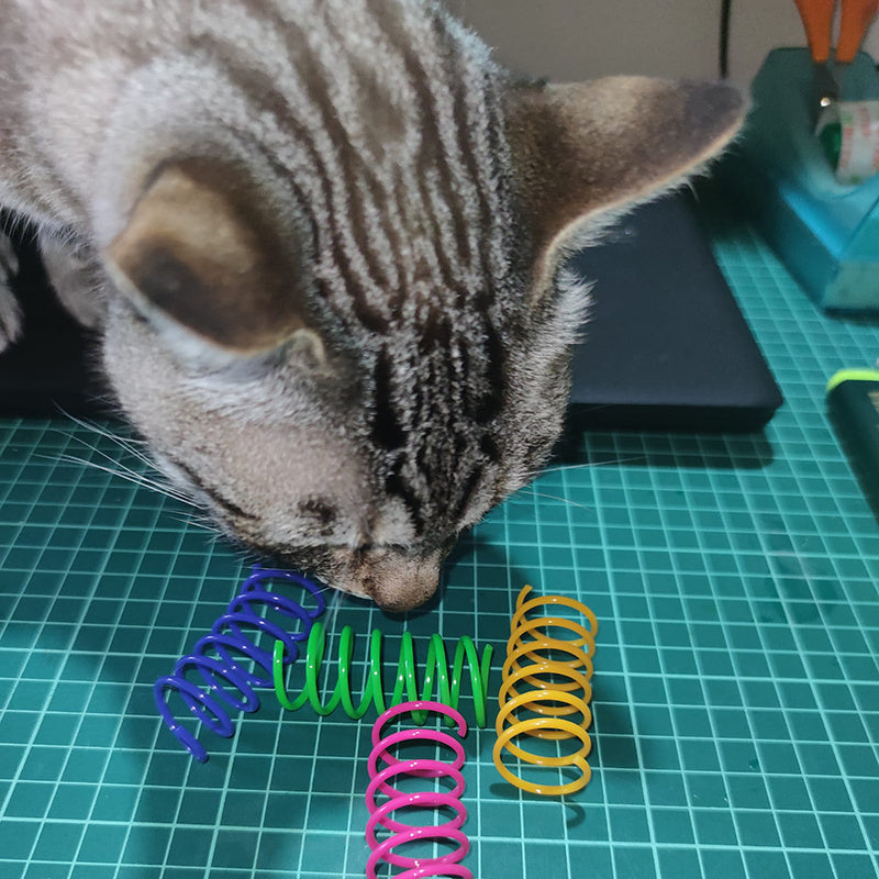 KFX-9308605 Colorful Coil Spring Cat Toy Set – Durable Plastic Springs for Active Kittens & Pets (4 or 8pcs)