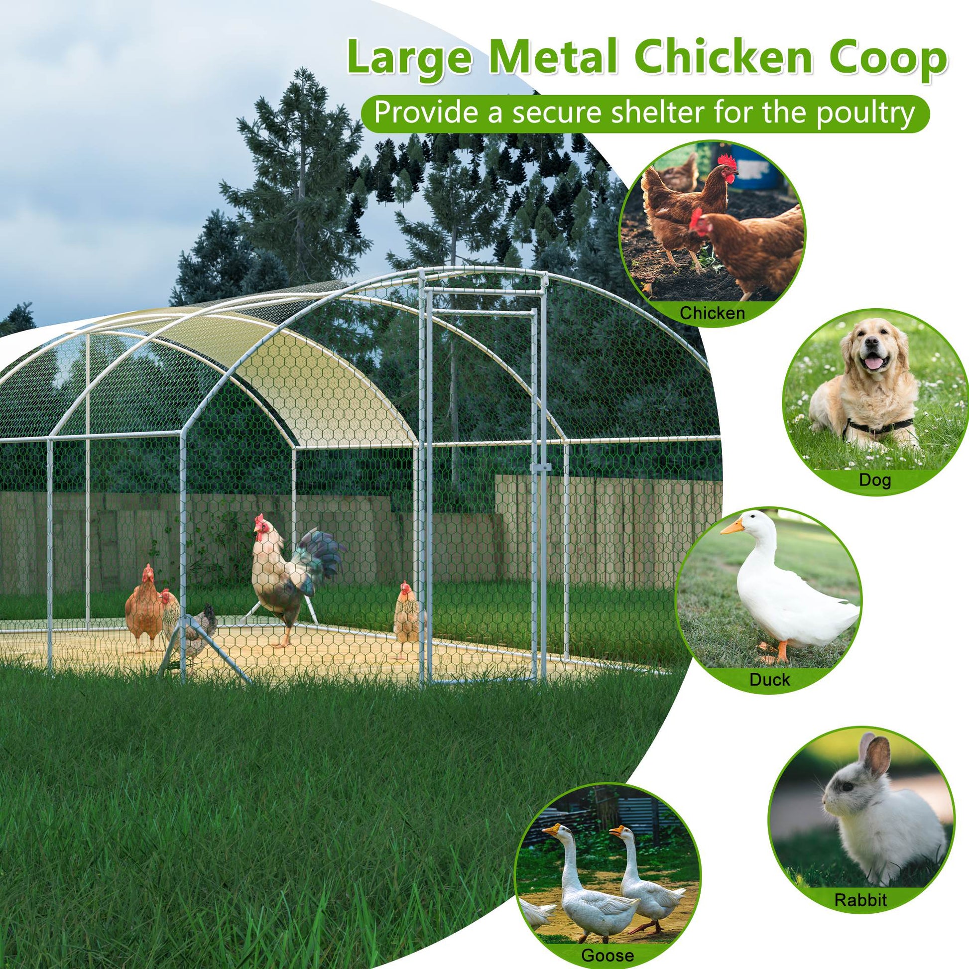 KFX-9332029 Large Metal Chicken Coop with Waterproof Dome Cover, Walk-In Design for Outdoor Use - 9.84' x 19.68' x 6.56'