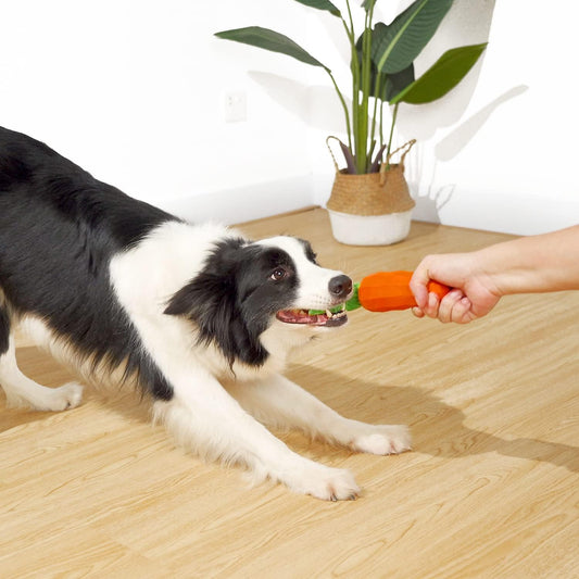 KFX-9341373 Durable Interactive Squeaky Dog Toy for Medium Dogs - Milk Flavor Rubber Carrot with Crinkle Leaves, Ideal for Training and Dental Care