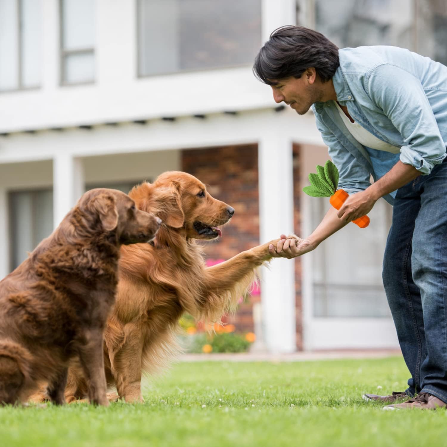 KFX-9341373 Durable Interactive Squeaky Dog Toy for Medium Dogs - Milk Flavor Rubber Carrot with Crinkle Leaves, Ideal for Training and Dental Care