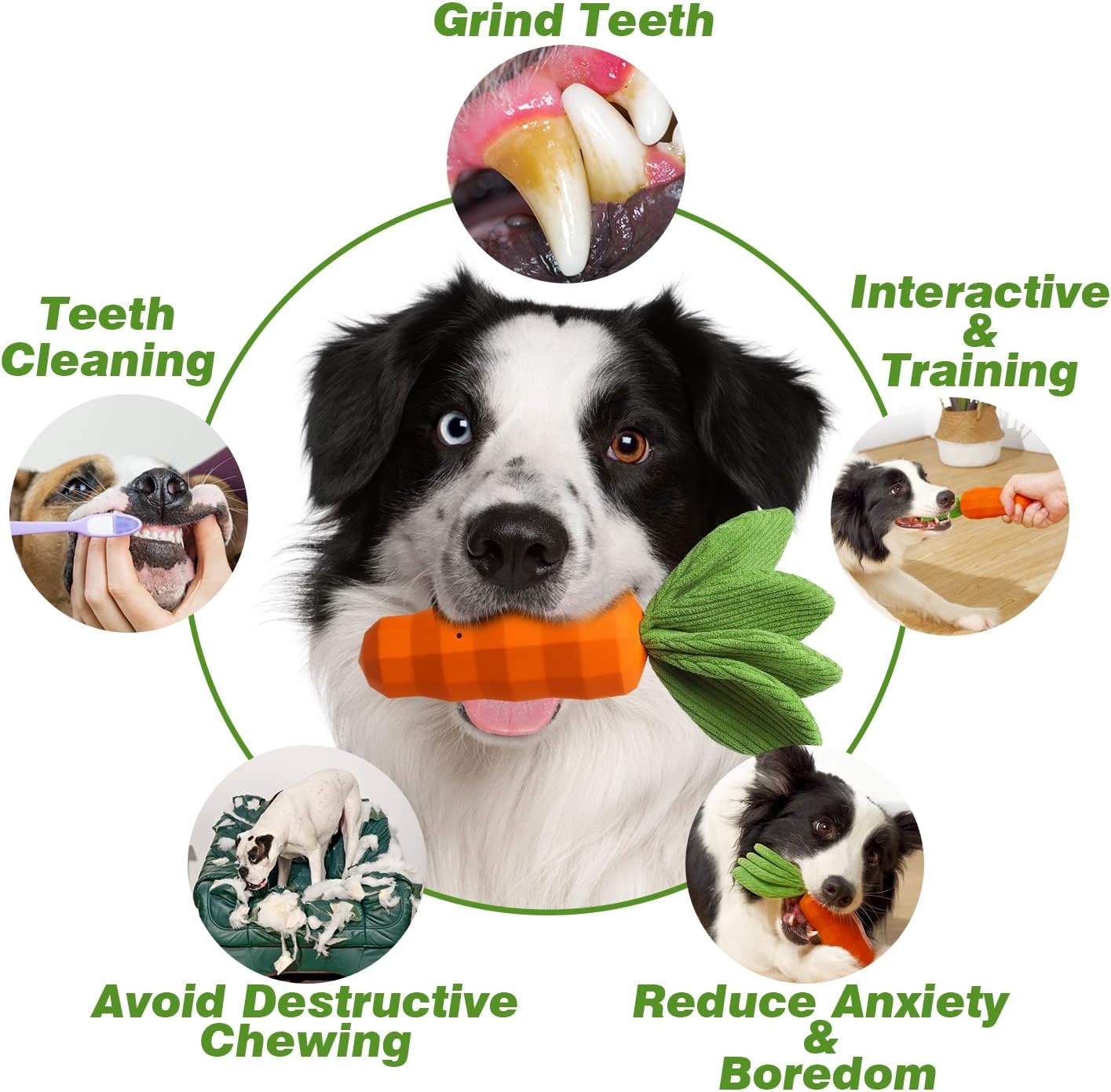 KFX-9341373 Durable Interactive Squeaky Dog Toy for Medium Dogs - Milk Flavor Rubber Carrot with Crinkle Leaves, Ideal for Training and Dental Care