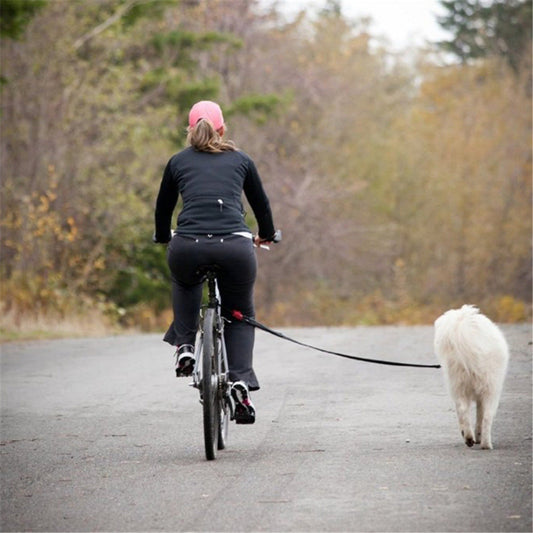 KFX-9347133 Dog Harness with Detachable Bicycle Traction Chain for Walks and Rides