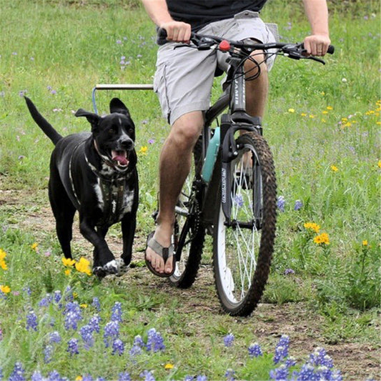 KFX-9347133 Dog Harness with Detachable Bicycle Traction Chain for Walks and Rides