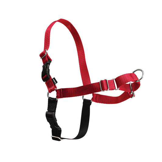 KFX-9347645 Durable Nylon Dog Walking Collar in Multiple Sizes and Colors