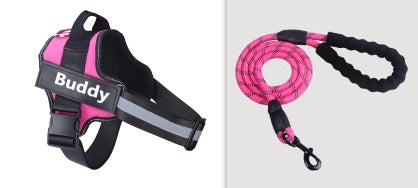 KFX-9351485 Comfortable Pet Leash and Chest Strap Set for Small to Large Pets