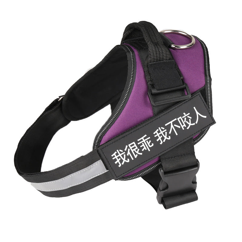 KFX-9351485 Comfortable Pet Leash and Chest Strap Set for Small to Large Pets