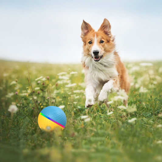 KFX-9354045 Remote Control Interactive Anti-stuffy Intelligent Toy Ball for Pets - Bite-Resistant Silicone Fun