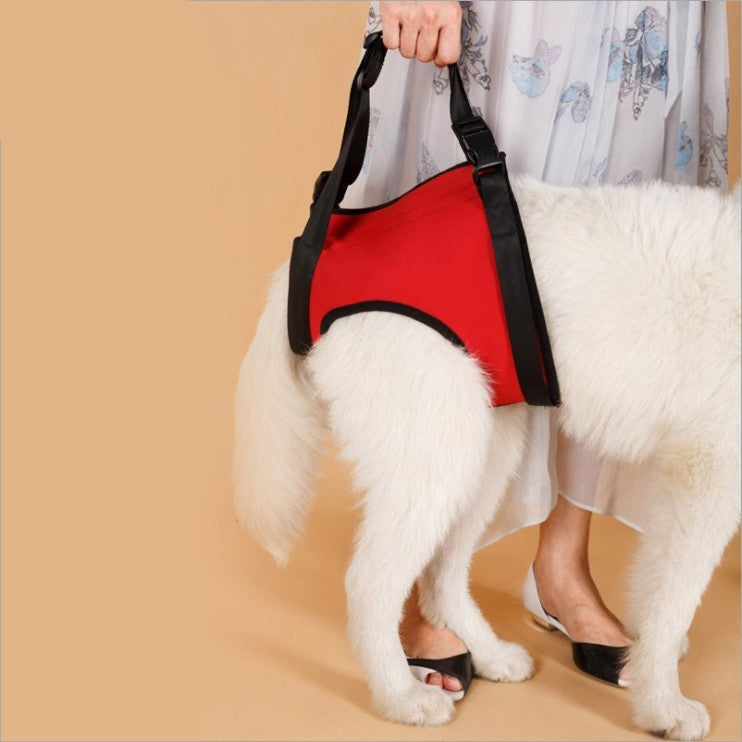 KFX-9354685 Pet Safety Auxiliary Belt in Red, Orange, Green - Adjustable, Waterproof, Wear-Resistant Design