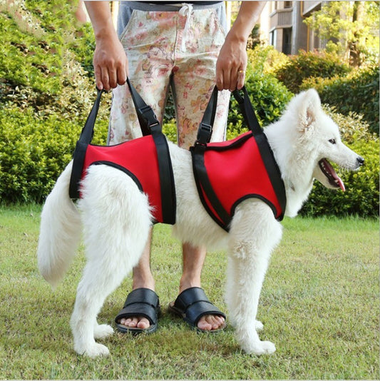 KFX-9354685 Pet Safety Auxiliary Belt in Red, Orange, Green - Adjustable, Waterproof, Wear-Resistant Design