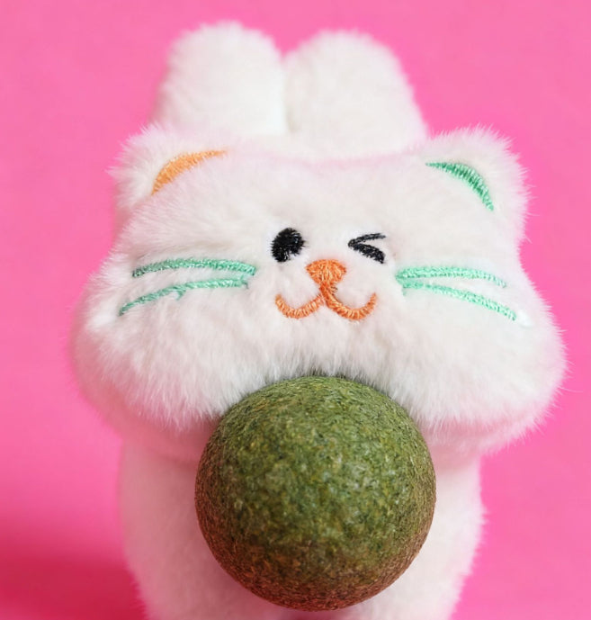KFX-9355069 Catnip Plush Toy for Cats - Scratch-Resistant and Bite-Resistant Pet Accessory