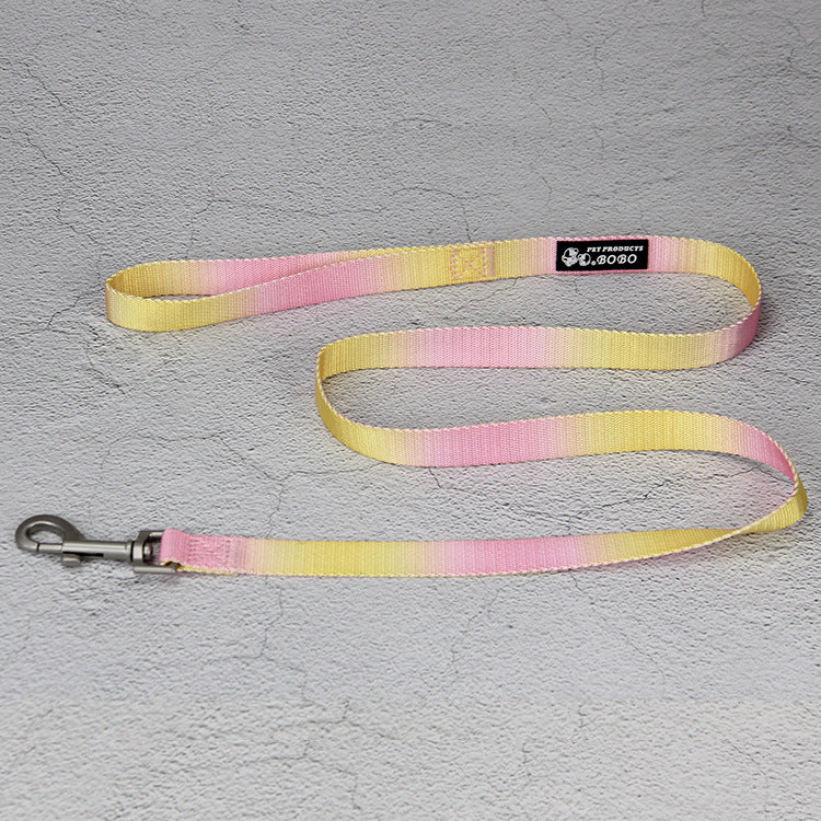 KFX-9360445 Gradient Color Dog Leash Set - Lightweight Nylon with Multiple Color Options