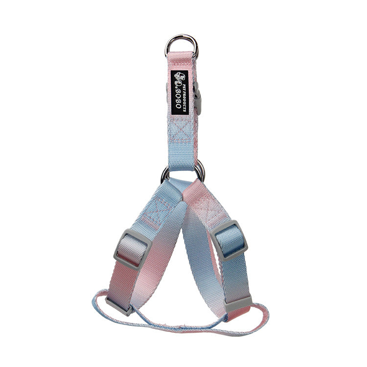 KFX-9360445 Gradient Color Dog Leash Set - Lightweight Nylon with Multiple Color Options