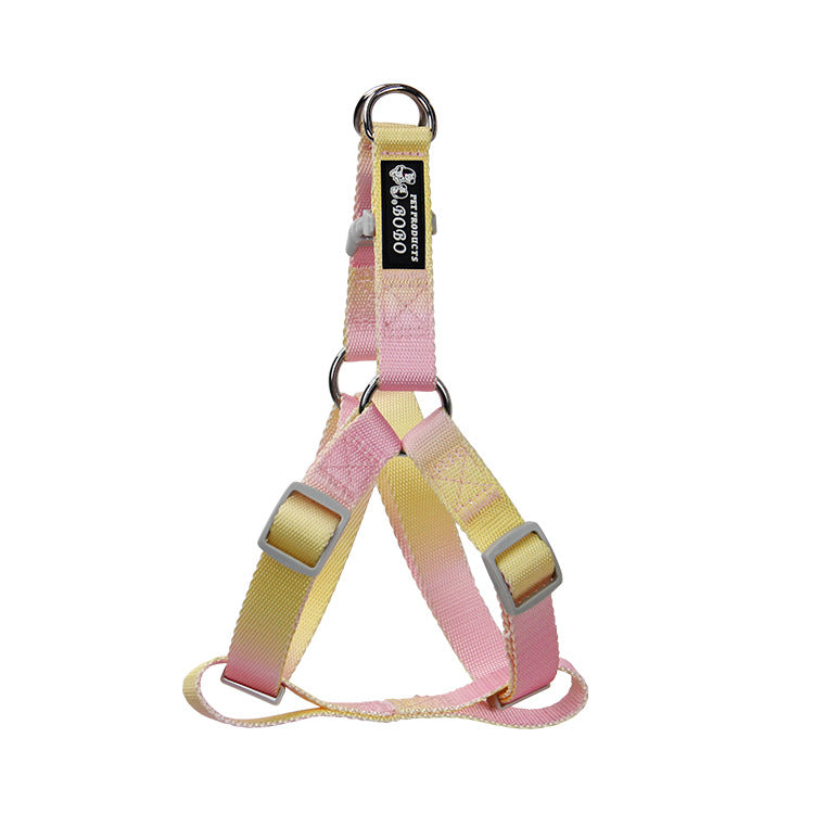 KFX-9360445 Gradient Color Dog Leash Set - Lightweight Nylon with Multiple Color Options